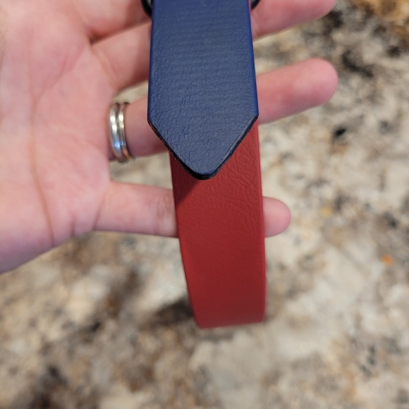 Blue & Red Collar & Leash Set - Picture 7 of 7